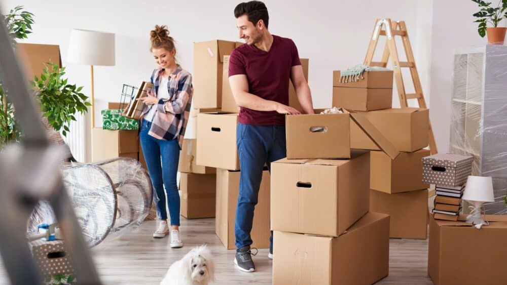 furniture movers in dubai