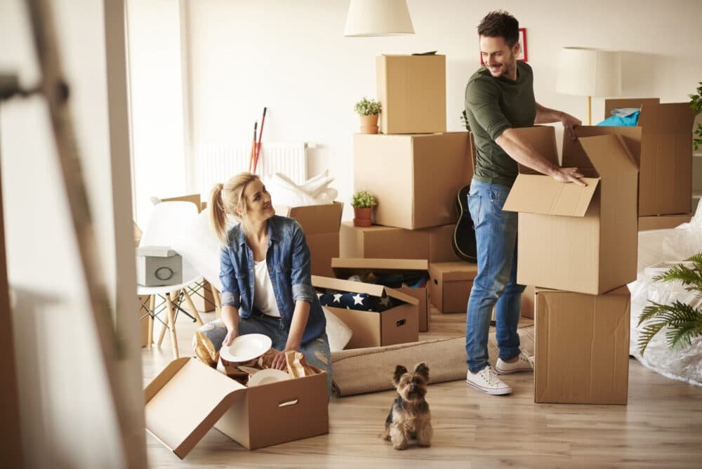 House movers in dubai